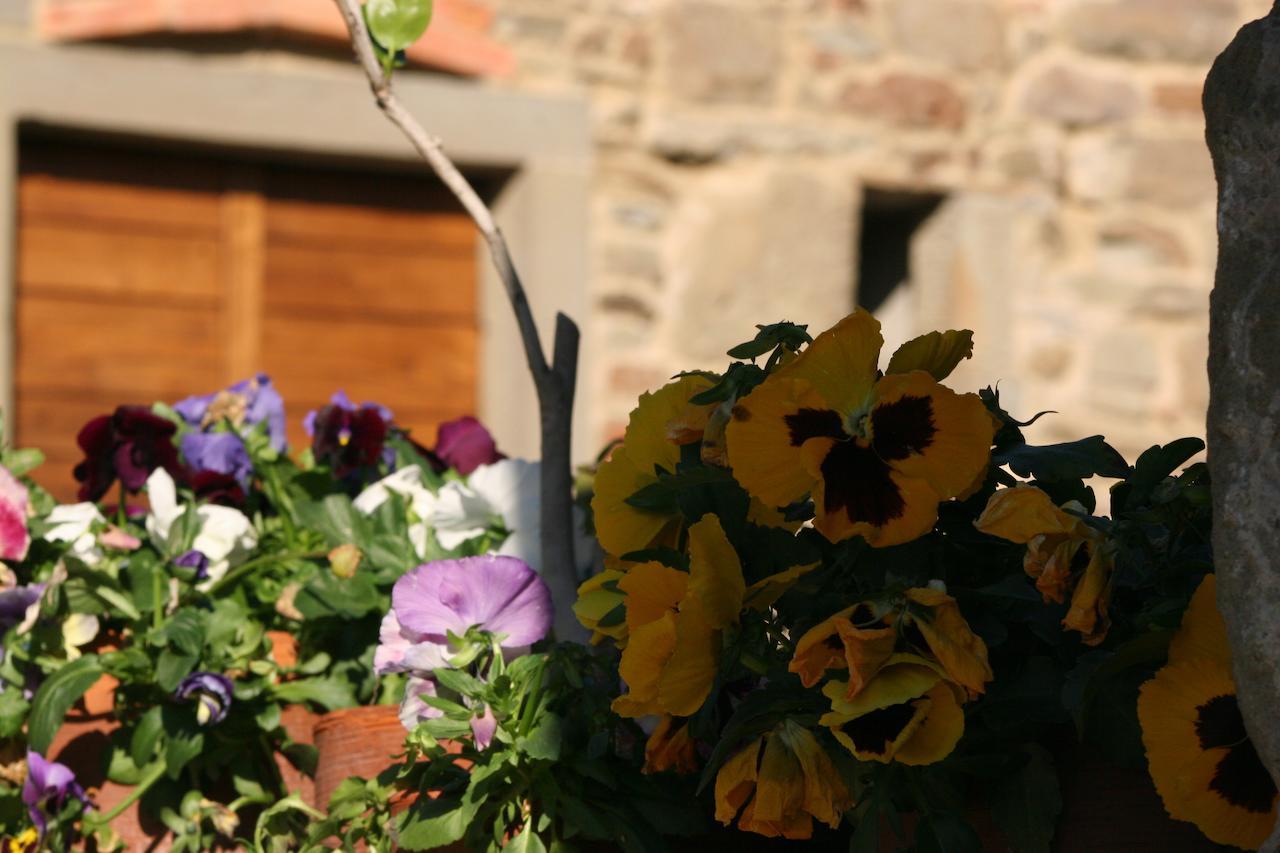 Podere Pian De' Cortini Villa Serravalle  Bagian luar foto